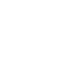 Bacterías